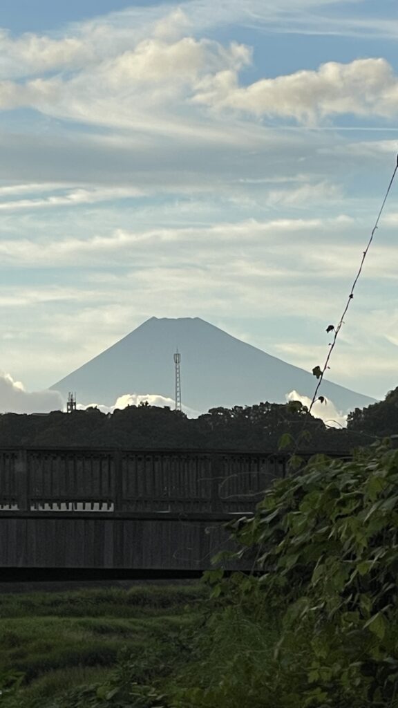 Mt. Fuji von Izu aus gesehen