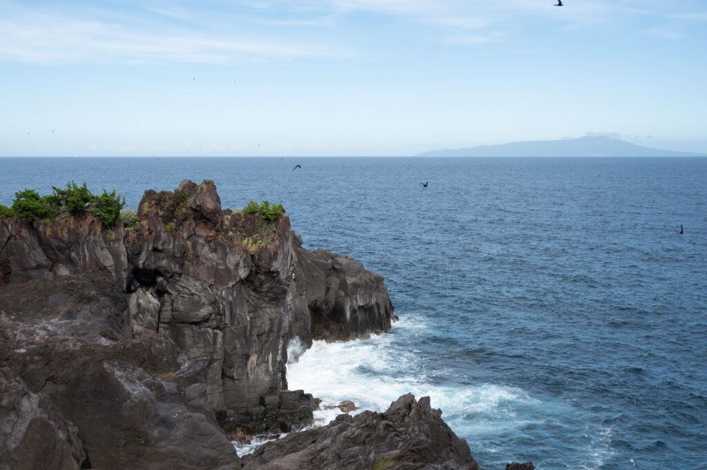 Izu